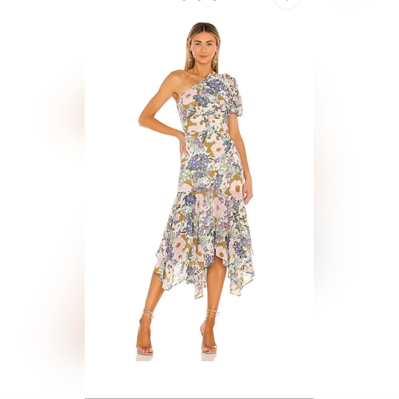 NWOT! Posh ASTR The Label Anthro Santorini Women's Dress Retro Floral Size XS - Picture 4 of 15